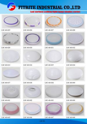 China Manufacturers Wholesale Opal Round LED Surface Ceiling Light Lamp Shades